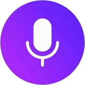 Alice voice assistant